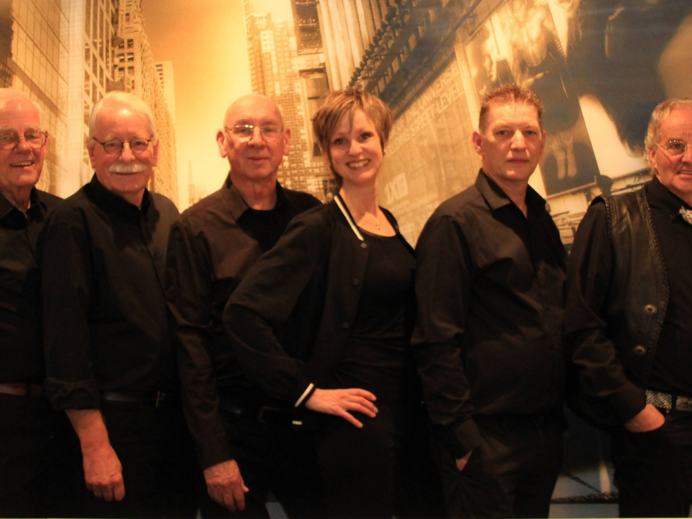 Banner The DS band